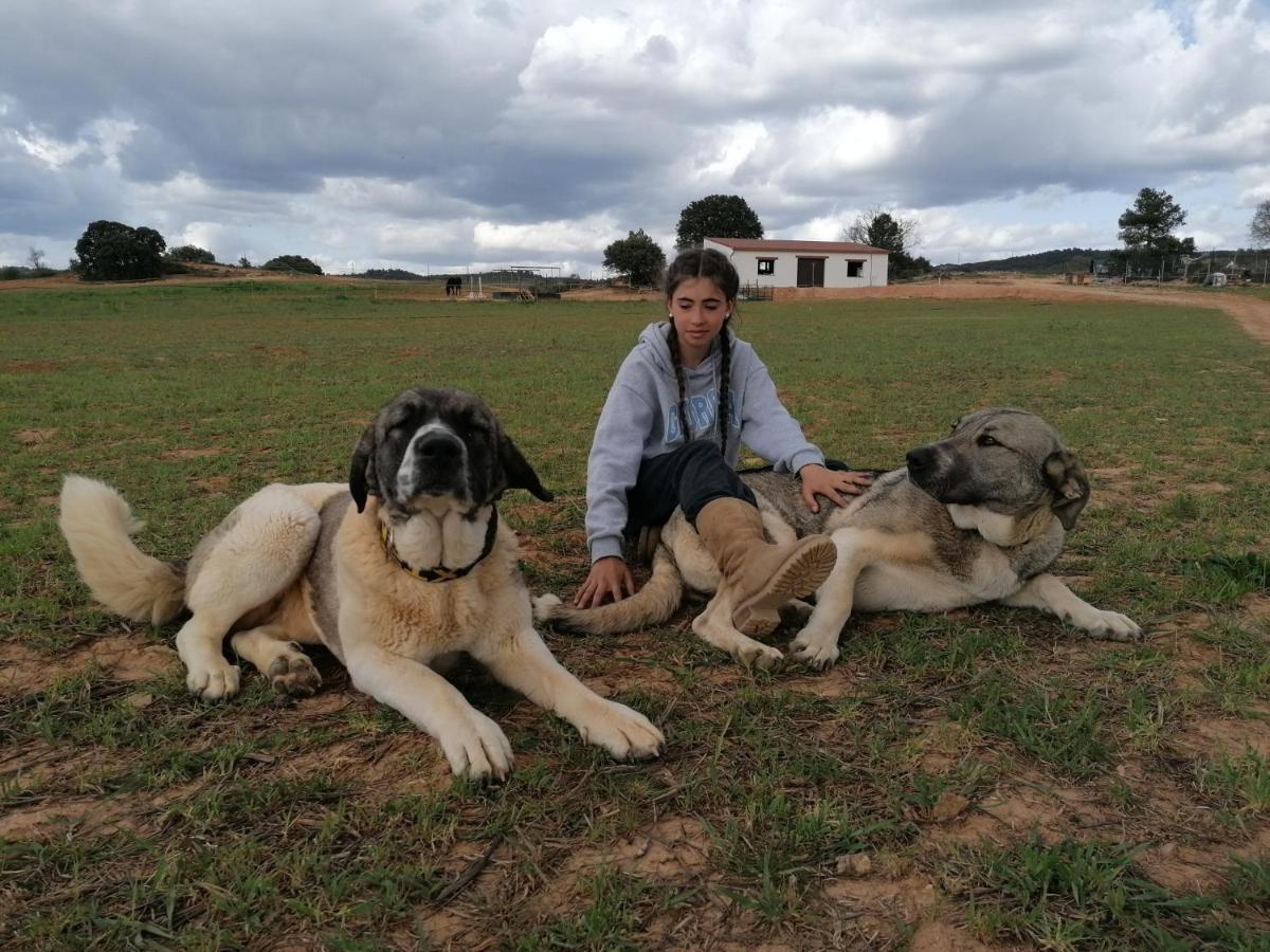 Casa Rural La Loma Nohales Bagian luar foto